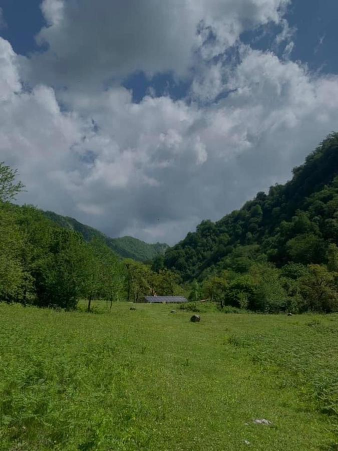 Nahei Cottage Martvili Bagian luar foto